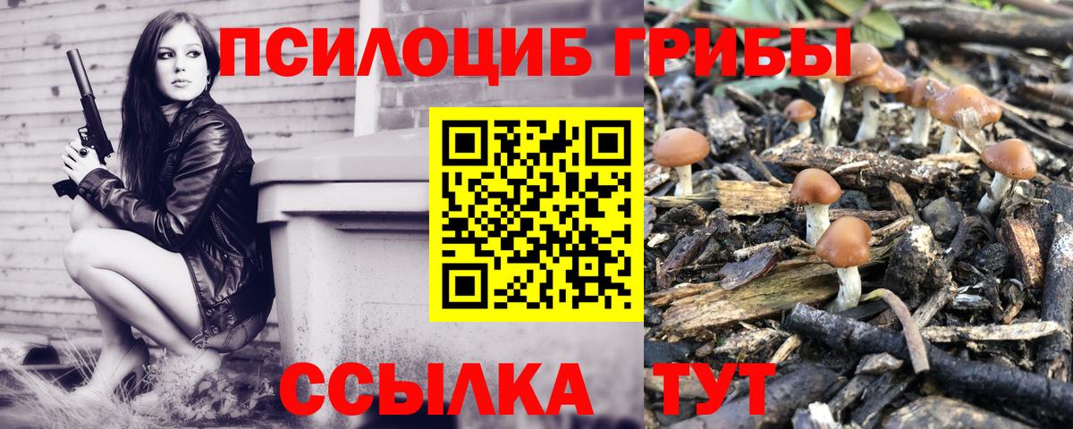 Галлюциногенные грибы Cubensis  Галлюциногенные грибы Cubensis  Кольчугино  Вход с VPN 